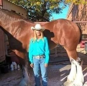 Meet your Posher, Daphne